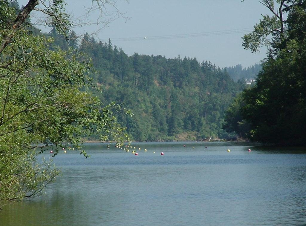 The slalom course on the river